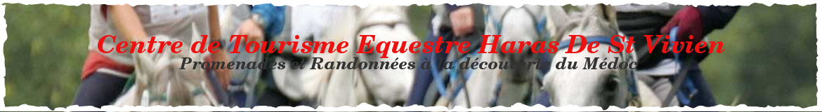 Centre de Tourisme Equestre Haras De St Vivien